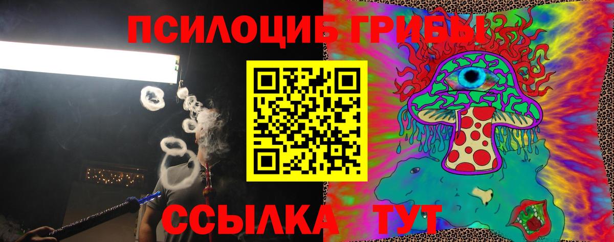 Галлюциногенные грибы Psilocybe  Галлюциногенные грибы Psilocybine cubensis  Свободный  Вход с VPN 